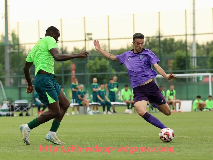 问鼎娱乐官网-英超球队的转会事务由谁负责？幕后管理机制详解