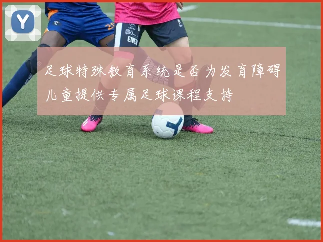 足球特殊教育系统是否为发育障碍儿童提供专属足球课程支持