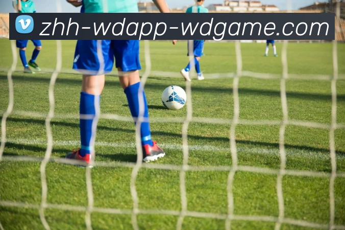 问鼎娱乐平台生态图